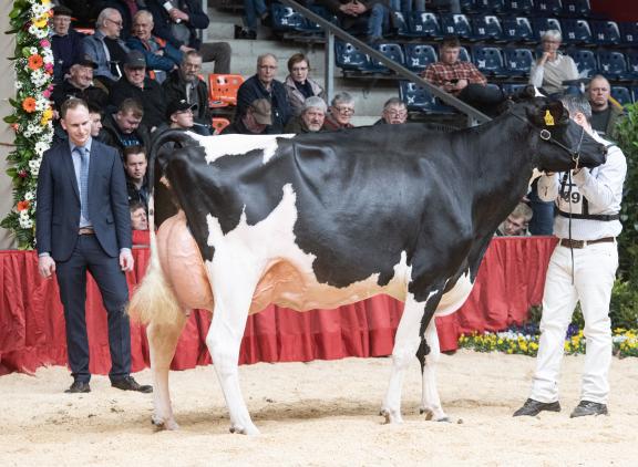 ZR India (v. Sidekick) wint het algemeen kampioenschap tijdens de Excellent-Schau (foto Christine Massfeller)