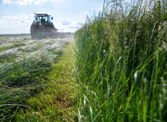 door het maaimoment te optimaliseren is er winst te halen in kuilkwaliteit en daardoor ook op CO2-uitstoot