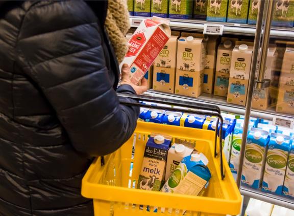 Een lagere koopkracht, hoge supermarktprijzen en de stikstofperikelen zorgen voor een beperkte stijging van zuivelproductie