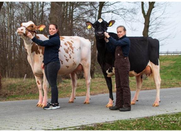 Het kampioensduo De Wijde Blik Mariegold 6a (v. Crown) en De Wijde Blik Marix (v. Unix) (foto: Floor Schut)