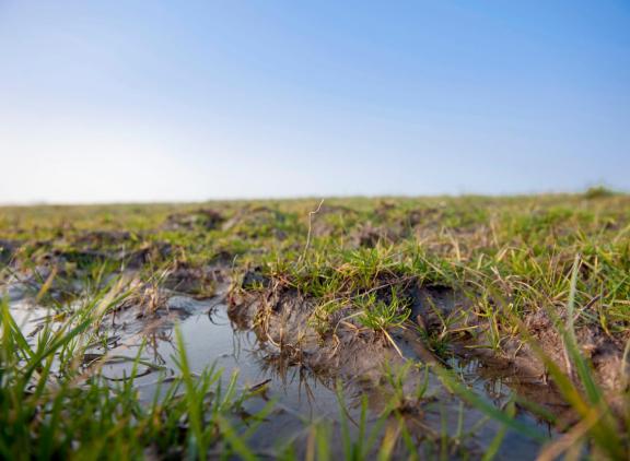 Ondanks de plassen in het land her en der, is het neerslagtekort dit jaar nog niet hersteld