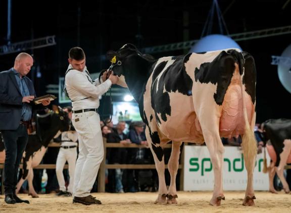 De HHH-show vindt dit jaar opnieuw plaats in Leeuwarden
