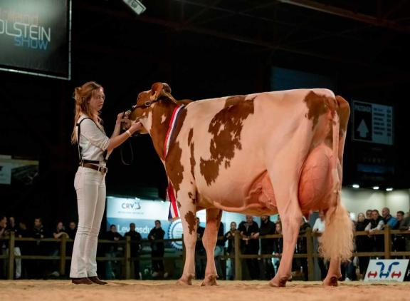 Afgelopen jaar won Heerenbrink Truus 4 (v. Apple) het algemeen kampioenschap