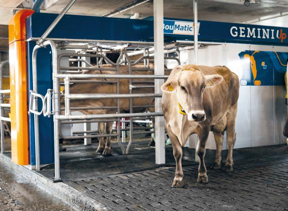 De nieuwe Gemini Up heeft een zelflerend camerasysteem