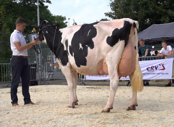 Voor het tweede jaar op rij won Dynamic Horizon (v. Pepper) van Cees de Groot het algemeen kampioenschap in Rijpwetering (foto: Harrie van Leeuwen)