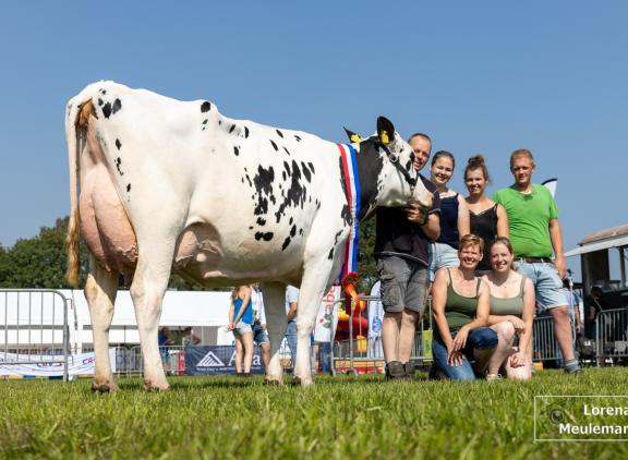 Bruninkweerd Glendale 34 (v. Dateline) won het algemeen kampioenschap zwartbont op de fokveedag Bathmen-Laren (foto: Lorena Meuleman)