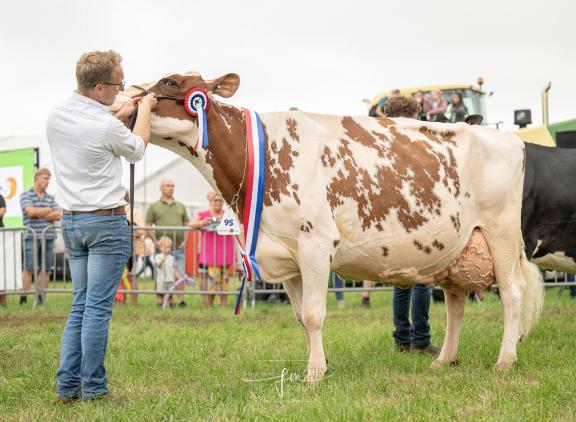 Op de Agrifair in Wierden won Irma 68 onlangs het algemeen kampioenschap