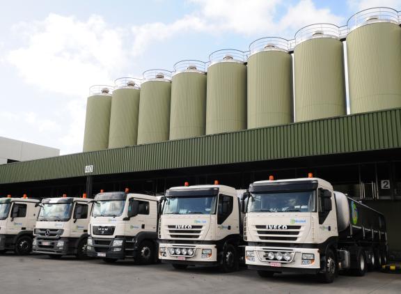 Milcobel heeft extra melk nodig voor de productie van mozzarella in de fabriek in Langemark