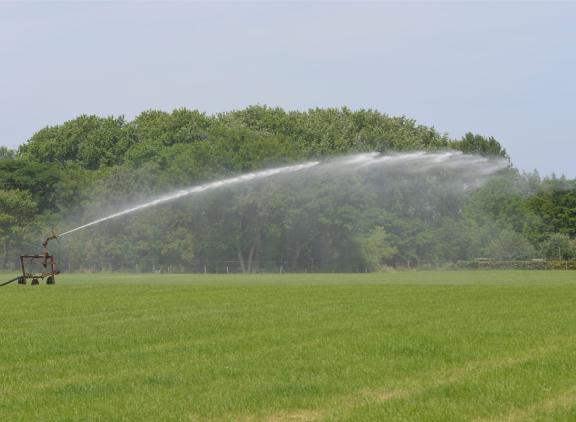 Gras heeft een lang groeiseizoen en continu behoefte aan water. Daarom is het gewas gevoelig voor droogte