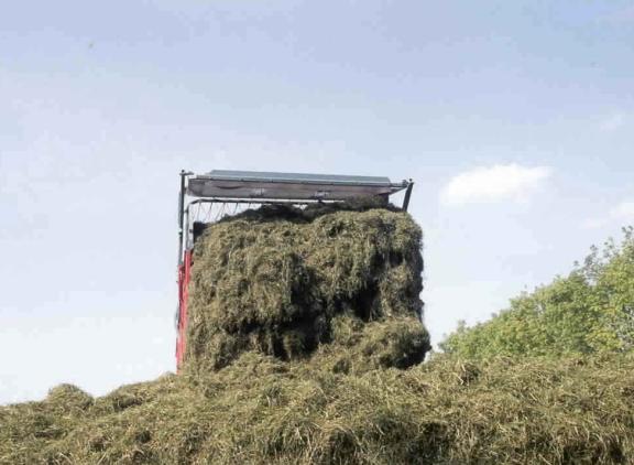 Het ruw eiwitgehalte in de zomerkuiken van 2023 is met gemiddeld 170g/kg vergelijkbaar met het langjarig gemiddelde en neemt toe van 163 g/kg in juni naar 176 g/kg in augustus.