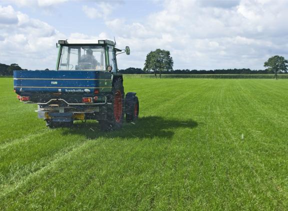 Strooien van zeoliet op grasland op droge zandgrond heeft geen effect op het nitraatgehalte in grondwater na bemesting