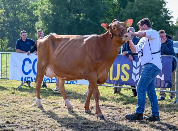 Den Dam Lauri 114 (v. Rager) legde beslag op de vaarzentitel in Eibergen (foto: Henk Lomulder)