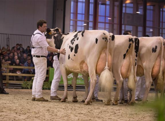 Alana van familie Van Hoof pakt reekswinst en de reservetitel in de middenklasse