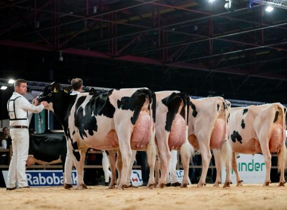Heerenbrink Angelina schreef op de HHH-show zowel het algemeen kampioenschap als het kampioenschap in de middenklasse op haar naam (foto: Els Korsten)