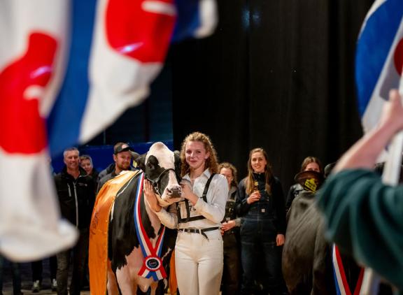 De grote winnaar van de exterieurkeuring van de Young Breeders was Topcross Anna 264 van maatschap Jacobi uit Garijp