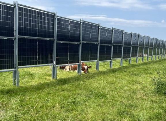 In het project SolarMilk wordt gebruik gemaakt van verticaal geplaatste en zonvolgende panelen.