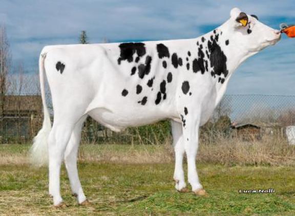 Go-Farm Bernini staat in Italië op de tweede plaats in de PFT-lijst
