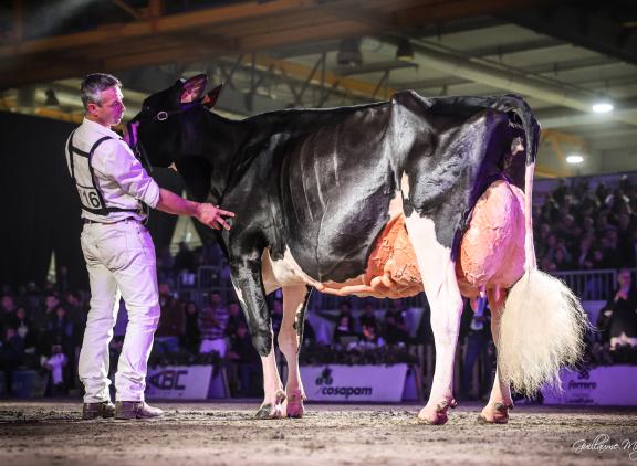 Viervoudig Spaans nationaal kampioene Llinde Ariel Jordan won voor de tweede keer op rij de titel in Cremona (foto: Guillaume Moy)