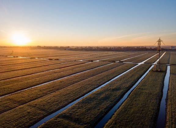 Ook veenweideregio's zijn aangewezen als NV-gebied