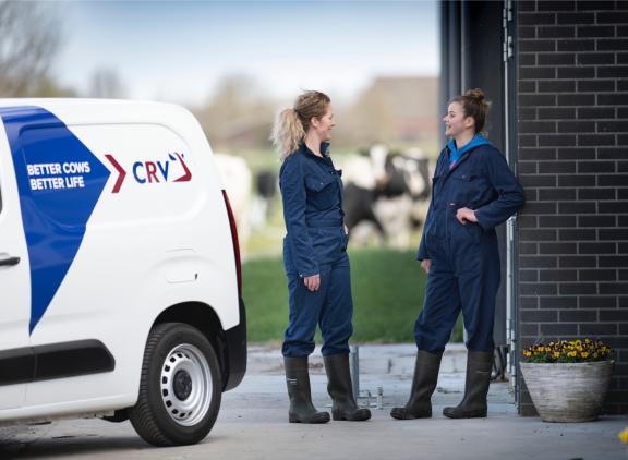 De omzetstijging van CRV in het afgelopen boekjaar is voor een belangrijk deel gerealiseerd in de thuismarkt Nederland-Vlaanderen