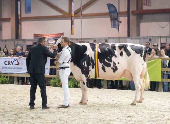 Maxima de Bois Seigneur wint de nationale titel tijdens Agribex