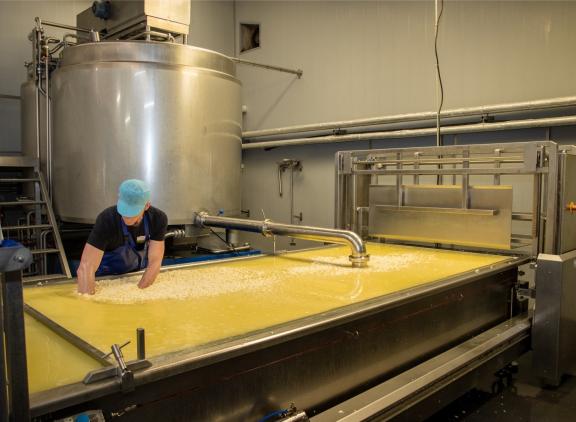 Ruim acht miljard kilogram van de Nederlandse melk werd in 2023 verwerkt tot kaas
