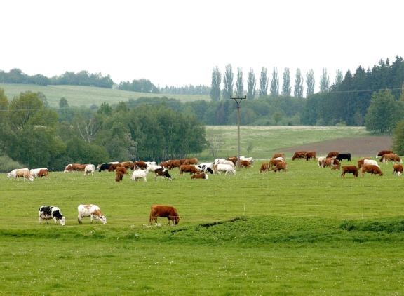 Analisten van de EU voorzien een structurele stijging van de melkprijs naar 50 cent in 2035, die grotendeels nodig zal zijn om hogere kosten op te vangen