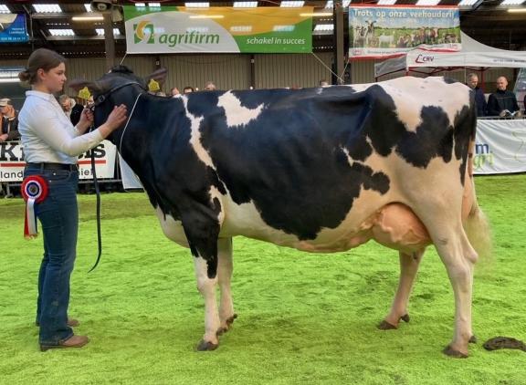 Seniorkampioene Annie 149 produceerde tot nu toe ruim 67.000 kg