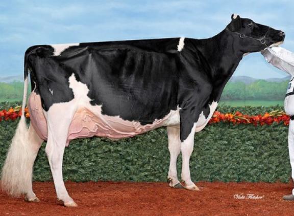 Loyalyn Goldwyn June kreeg 97 punten