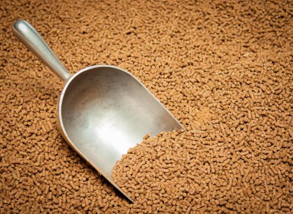 Door goedkopre grondstoffen voor krachtvoer daalde de omzet van ForFarmers
