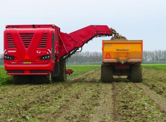 Feiten en fabels over KWS Feedbeet