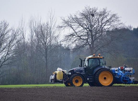 770x551_CRV-MaiszaaiWouwsePlantageDSC_8906.jpg