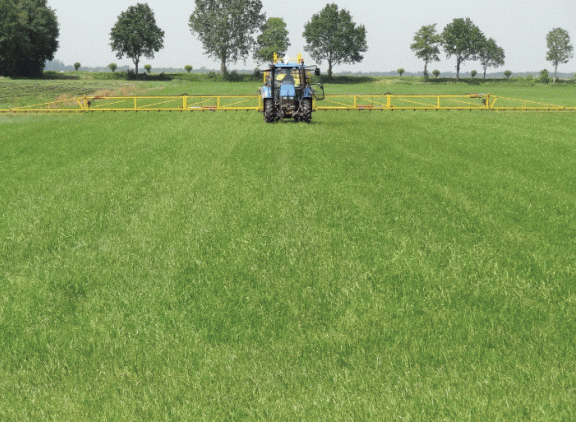 Eerste-grassnede-eraf-BlueN-erop.gif