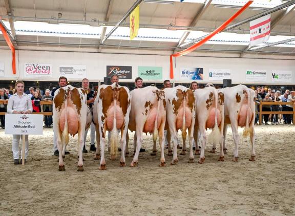 Drouner Altitude was een van de vier stieren die in Mariënheem een dochtergroep liet zien