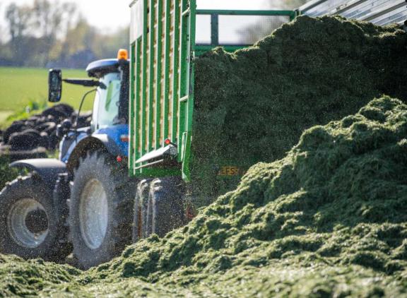 Bedenk goed waar je je gras neerlegt, tipt De Weideman