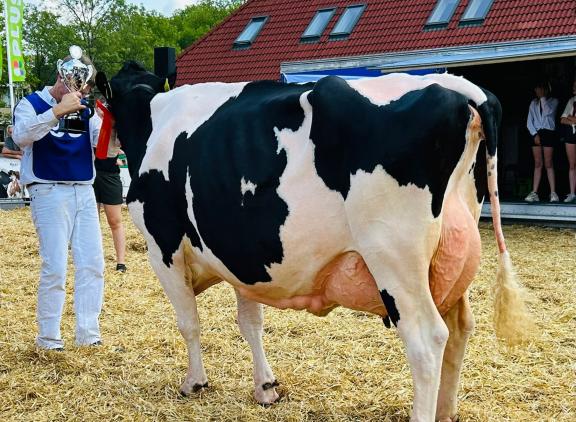 Leeuwke 49 (v. Pepper) wint het algemeen kampioenschap in Balk (foto Auke Landman)