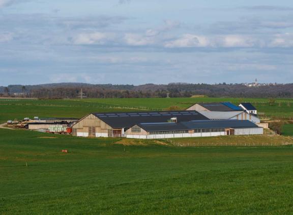 In de Waalse provincies Namen en Luxemburg hebben boeren gemiddeld achtereenvolgens 68,1 en 61,9 hectare tot hun beschikking