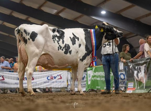Luzanna 184 is Miss Cowvalley van 2024 geworden