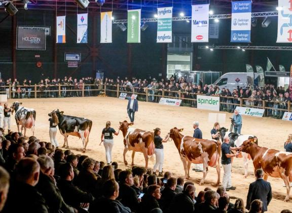 Vorig jaar kwam op de HHH-show onder meer een dochtergroep van Delta Jacuzzi in de ring