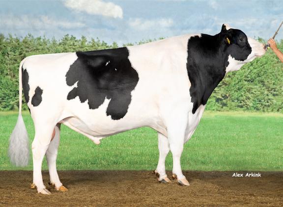 Double W Ranger groeide uit tot de meest invloedrijke holsteinstier van de afgelopen tien jaar