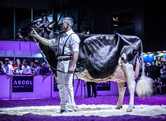 Sinds 2019 is Llinde Ariel Jordan ongeslagen op de Spaanse nationale show (foto: Guillaume Moy)