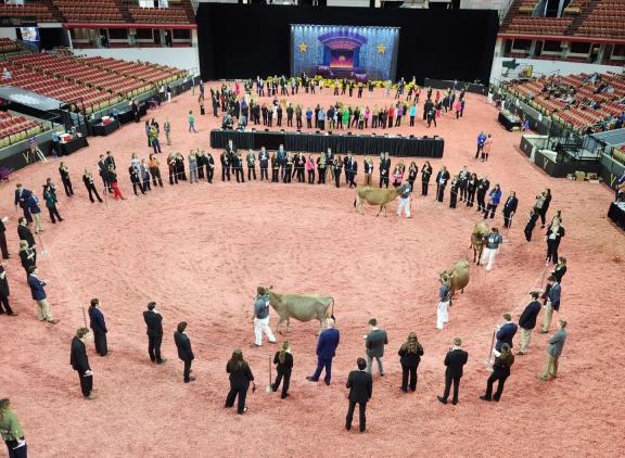 De jongeren in actie tijdens het veebeoordelen in Madison (foto: World Dairy Expo)