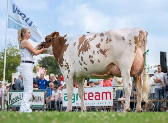 Deze zomer won Wendy 318 (v. Jordy) ook het algemeen kampioenschap in Opmeer (foto: Fleur Maartje Bakker)