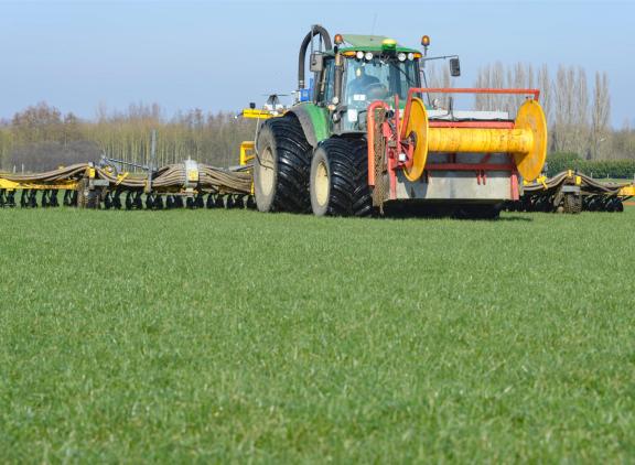Het ontbreekt Nederland aan een goed verhaal om in aanmerking te komen voor een nieuwe derogatie-aanvraag