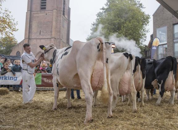 Annie 188 aan de kop van haar rubriek tijdens de Koeiemart