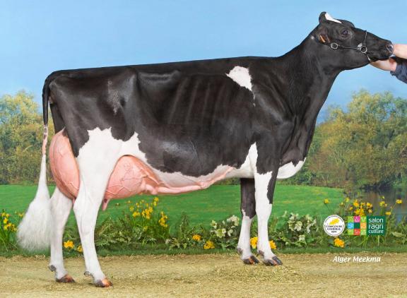 De met 95 punten ingeschreven Emeline produceerde tot nu toe ruim 149.000 kg melk (foto uit 2018)