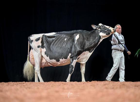 Oakfield Solomon Footloose won dit jaar de World Dairy Expo (foto: Fleur Maartje Bakker)