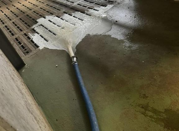 De twee bedrijven mogen dertig dagen lang geen melk afleveren