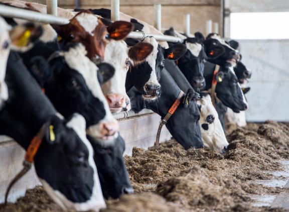 Bij het niet halen van de doelen in 2030 hangt de overheid een dwangsom van 10 miljoen euro boven het hoofd