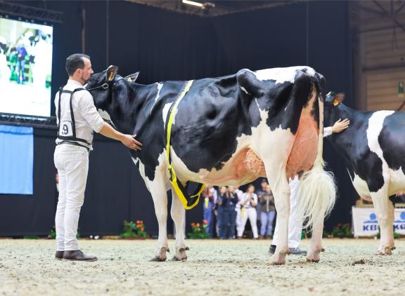 agriflanders
